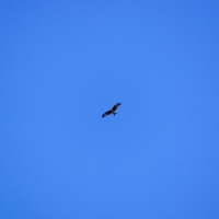 Angersbach DSC06904.jpg